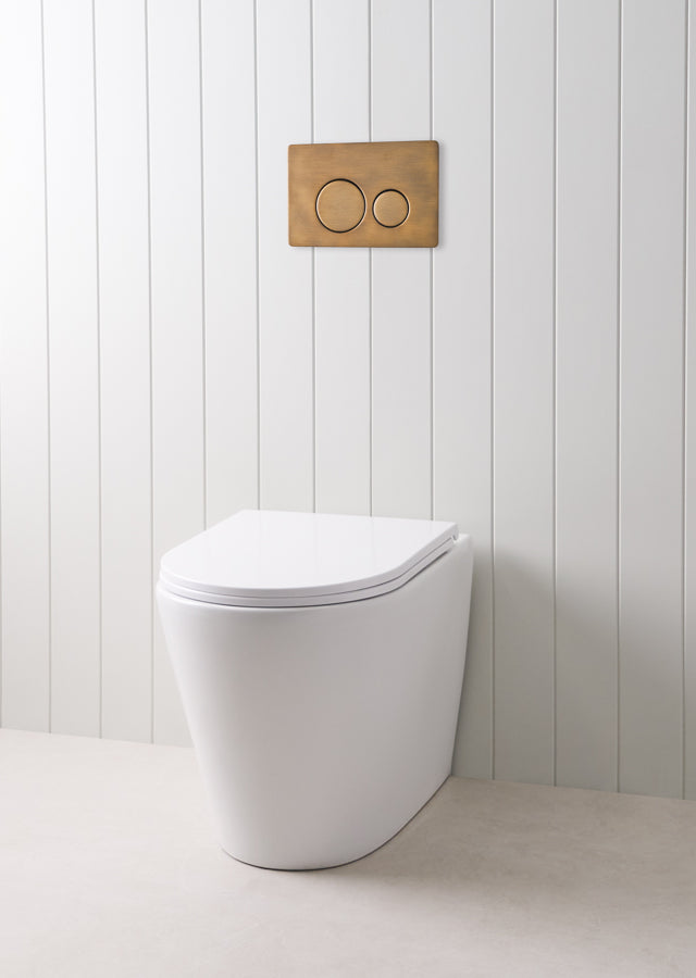 Angled In-Wall Toilet With Round Antique Brass Buttons