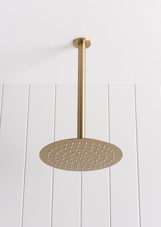 Ceiling Shower Arm and Head Brushed Brass