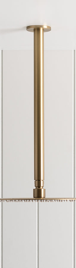 Ceiling Shower Arm and Head Brushed Brass