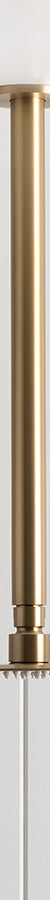 Ceiling Shower Arm and Head Brushed Brass