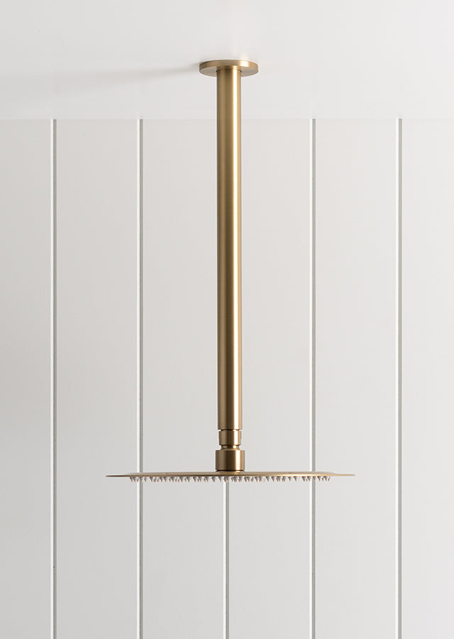 Ceiling Shower Arm and Head Brushed Brass