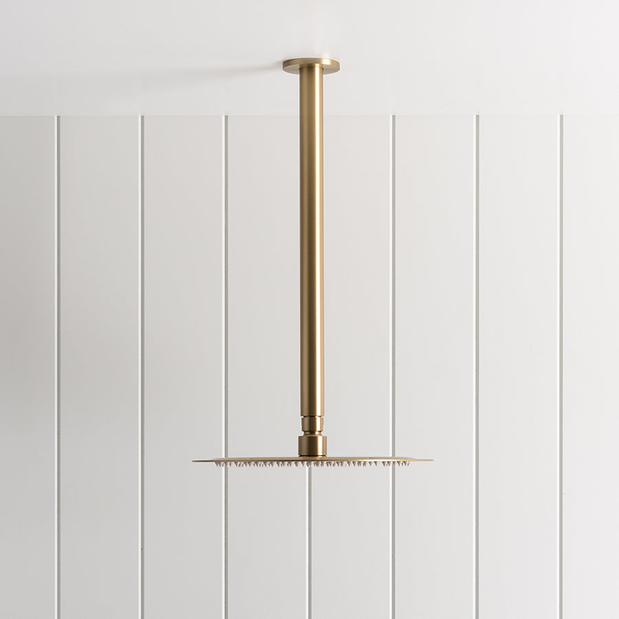 Ceiling Shower Arm and Head Brushed Brass