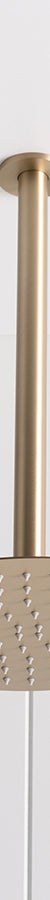 Ceiling Shower Arm and Head Warm Brushed Nickel