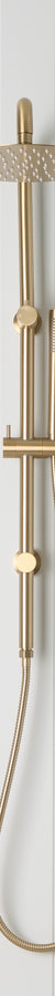 Combination Shower Brushed Brass