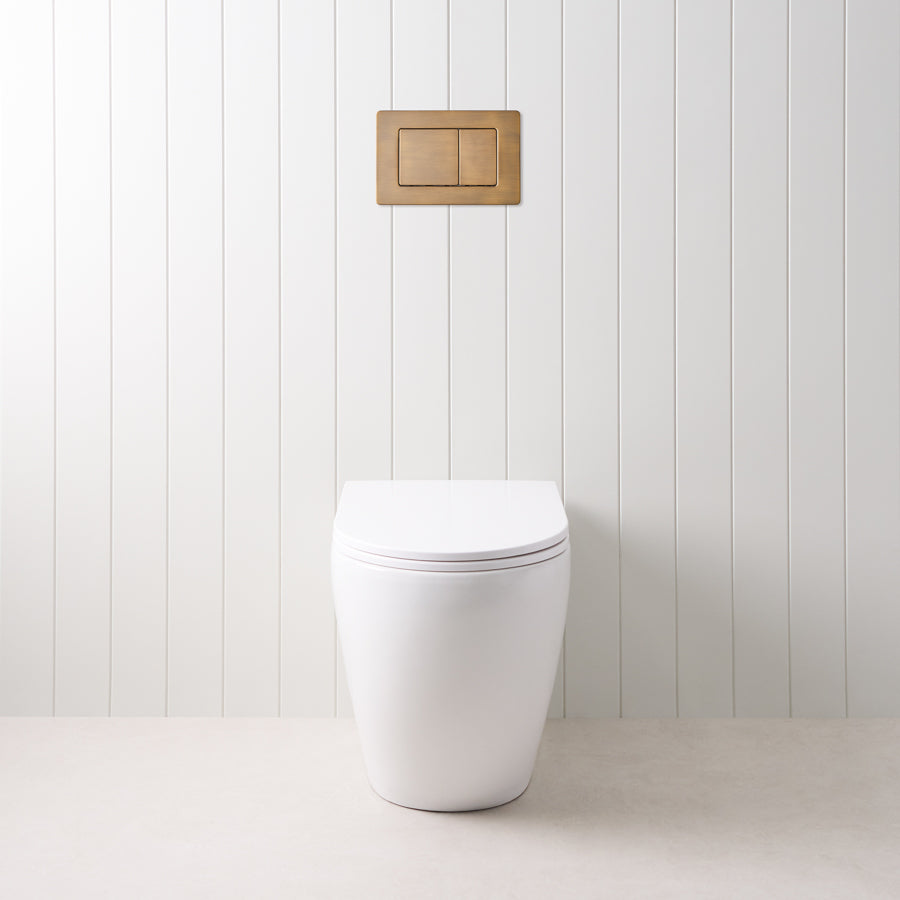 Curved In-Wall Toilet With Rectangle Antique Brass Buttons