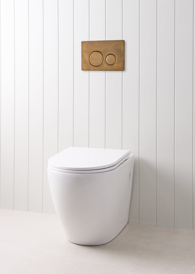 Curved In-Wall Toilet With Round Antique Brass Buttons