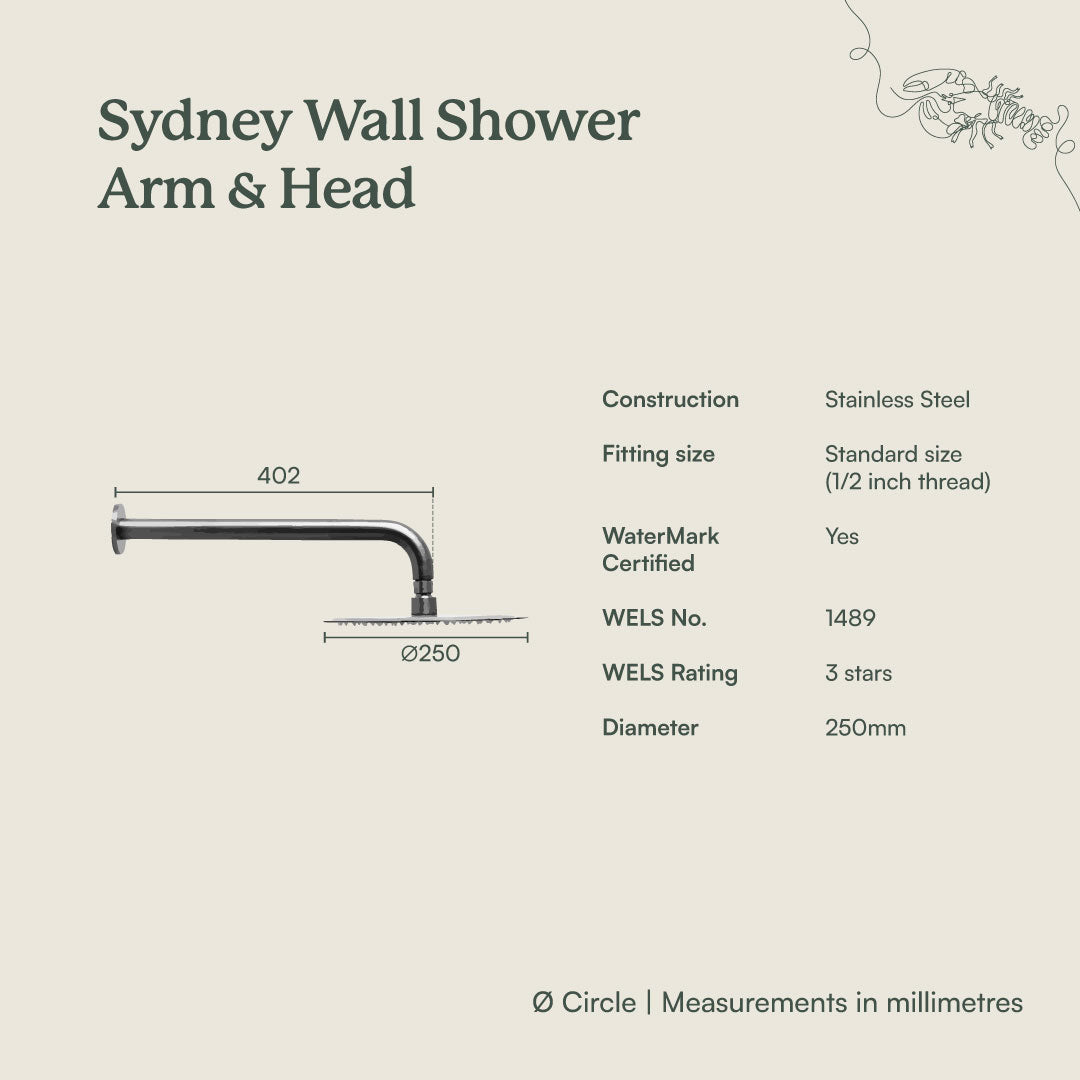 Wall Shower Arm and Head Brushed Brass 250mm