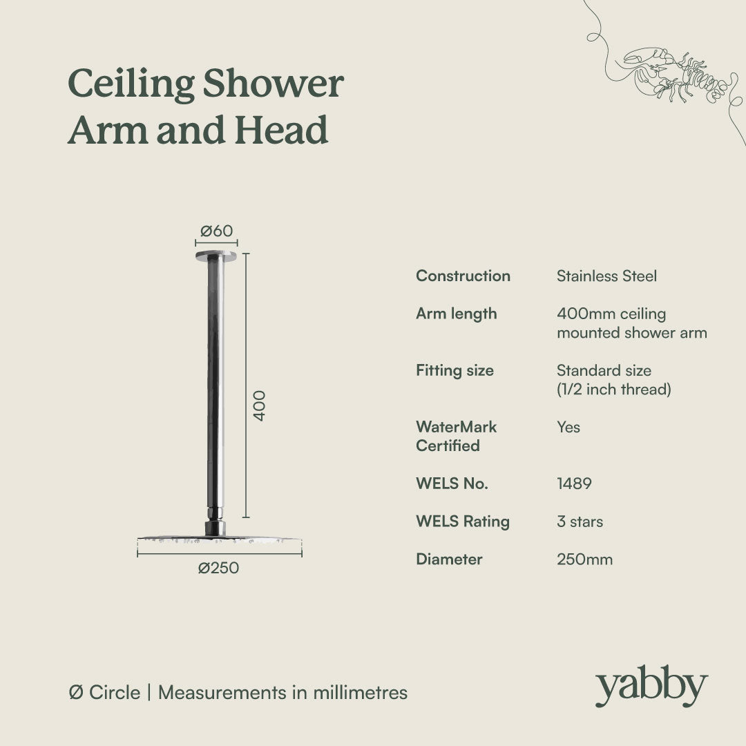 Ceiling Shower Arm and Head Warm Brushed Nickel