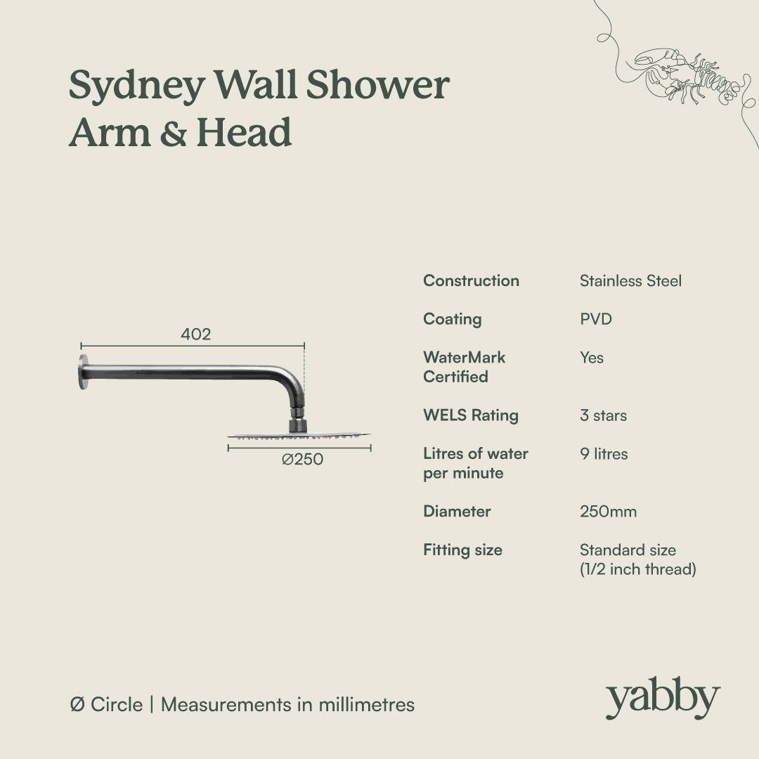 Wall Shower Arm and Head Brushed Brass 250mm