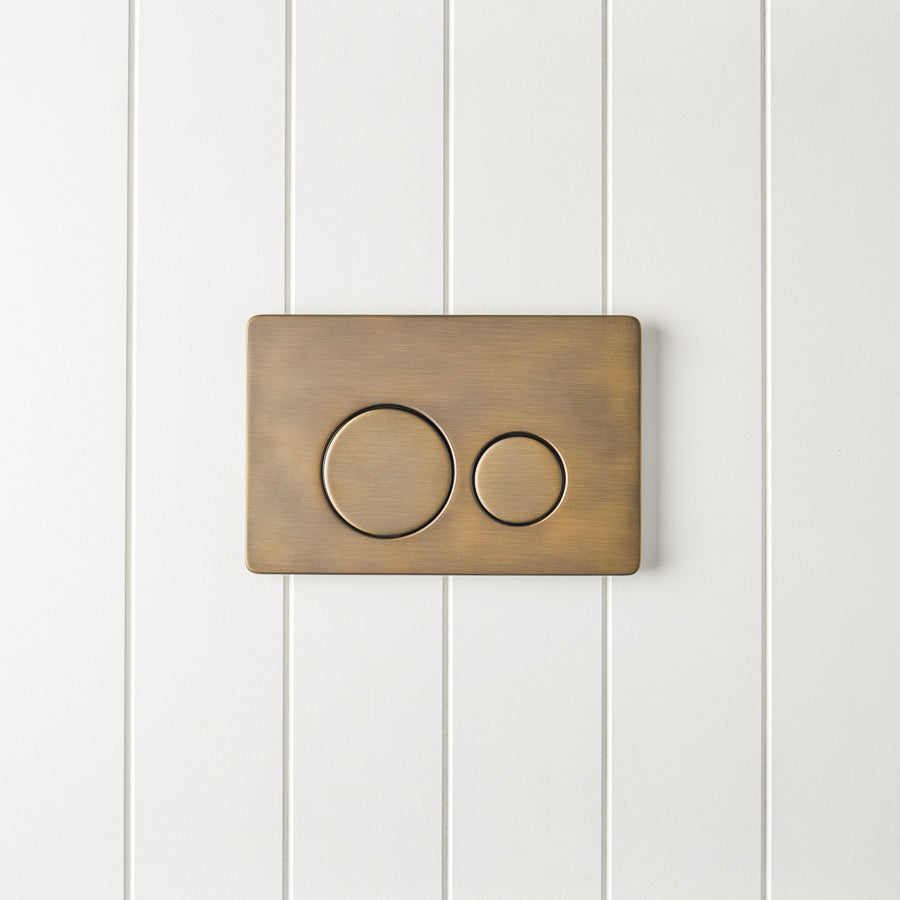 Curved In-Wall Toilet With Round Antique Brass Buttons