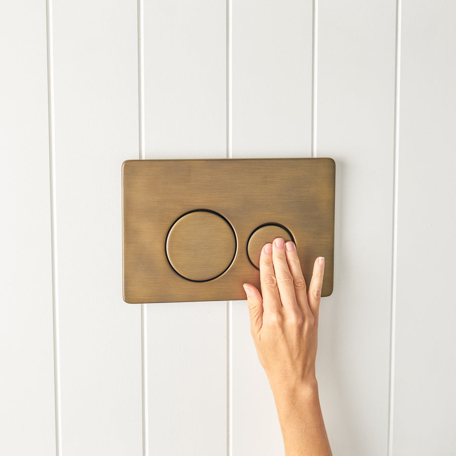 Curved In-Wall Toilet With Round Antique Brass Buttons
