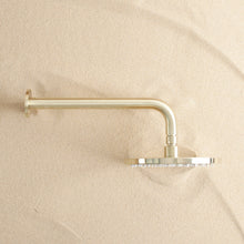 Wall Shower Arm and Head Brushed Brass
